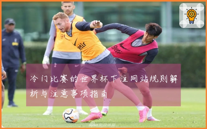 冷门比赛的世界杯下注网站规则解析与注意事项指南