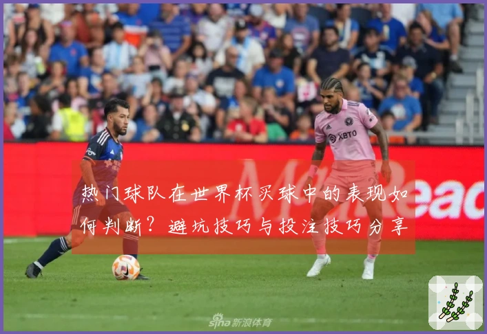 热门球队在世界杯买球中的表现如何判断？避坑技巧与投注技巧分享