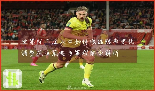 世界杯下注入口如何根据赔率变化调整投注策略与赛程配合解析